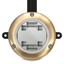 OceanLED Sport 3116d DockLight - Ultra White